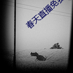 春天直播免費下載