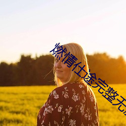 燃情仕途完整無刪除