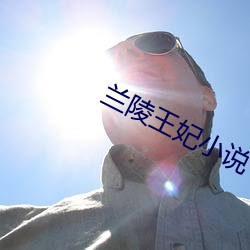 兰陵王妃小说