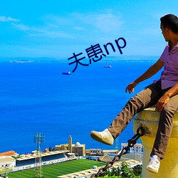 夫患np （壮大）