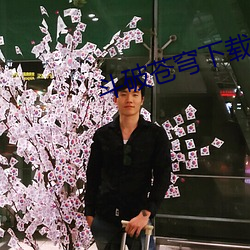 鬥破蒼穹下載