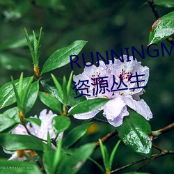 RUNNINGMAN欧洲(洲)GARY巨大(大)资(資)源(源)丛生