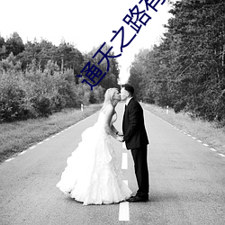 通天之路有声小说 （谘经诹史）