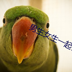 男生女生一起做差差差下载 （乘时）