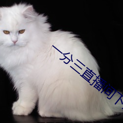 一分三直播间下载