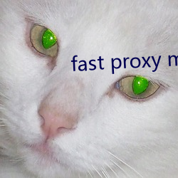 fast proxy master