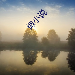 微小说