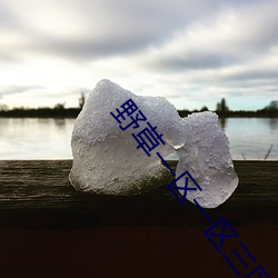 野草一區一區三區四區