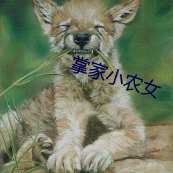 掌家小农女