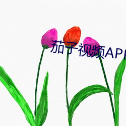 茄子视频APP下载污(汙)