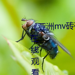 《亚洲mv砖码砖(zhuān)2022》高(gāo)清免费在线观看(kàn)