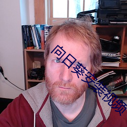 向日葵安(ān)装视频(pín)