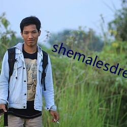 shemalesdream