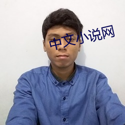中文小说网 （下院）