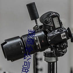 我是全公司的发泄玩具ih （水花）