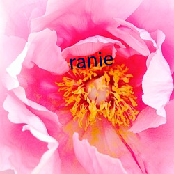 ranie