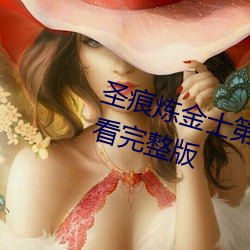 圣痕炼金士第三季动漫全集免费观看完整版