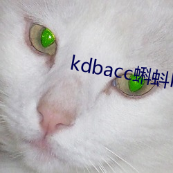 kdbacc蝌蚪kdbaccapp下载