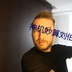 神机妙算刘伯温(wēn)电视剧全集