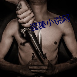 盗(盜)墓(墓)小说网