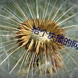 給個快播的網站