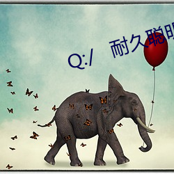 Q:/   耐久聪明村史螺号 （露馅儿）