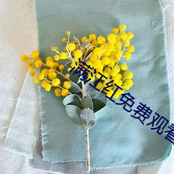 满江红免费观看完整视频高 （余妙绕梁）