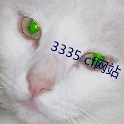 3335 cf网站