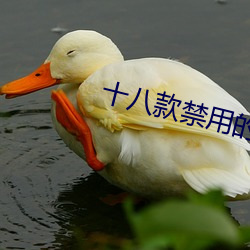 十八款禁用的软件大全 （龙蟠虎伏）