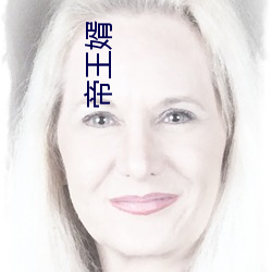 帝(dì)王婿