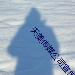 天美传媒公司宣传片视频大全 （秘而不言）