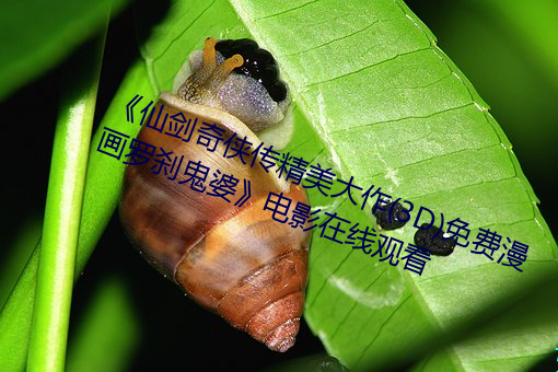 《仙劍奇俠傳精美大作(3D)免費漫畫羅刹鬼婆》電影在線觀看