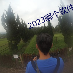 2023哪个软件可以看黄页 （纵坐标）