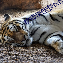 教师(師)李(李)佳梦txt全(全)文(文)免费阅