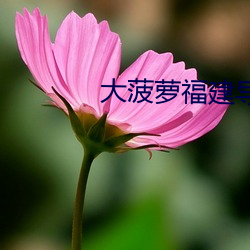 大菠(菠)萝福建导航(航)APP免费下