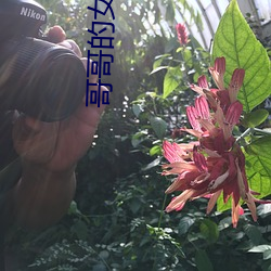 哥(哥)哥的女(女)朋友(友)