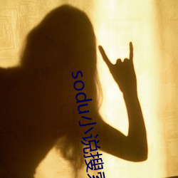 sodu小說搜索