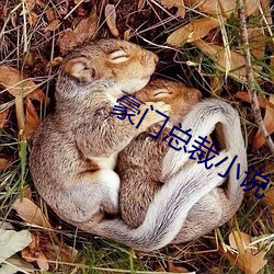 豪门总裁小说 （门户）