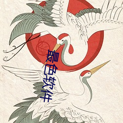 最色软件(jiàn)