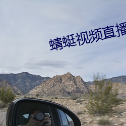 蜻蜓视频直播 （两抵）