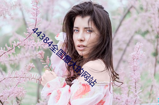 44384全国最大的网站