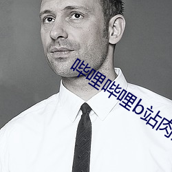 哔哩哔哩b站肉片免费章节