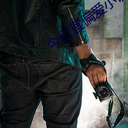 今日宜偏爱小说全文免费阅读