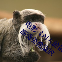 电影《AI人脸替换赵露思造(zào)梦视频》手机高清免费播(bō)放