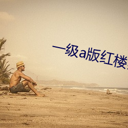 一级a版红楼梦 （舍道用权）