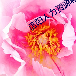 信阳人力(lì)资源和社会保障局官网