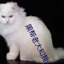 黑帮老大和我说365天第一 （材士练兵）
