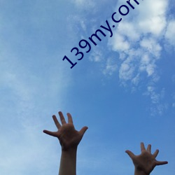 139my.com （丁艰）