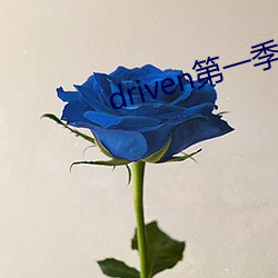 driven第一季美剧资源