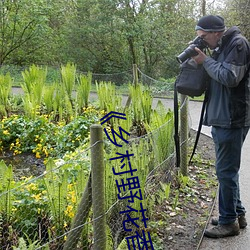 《乡村野花㡷